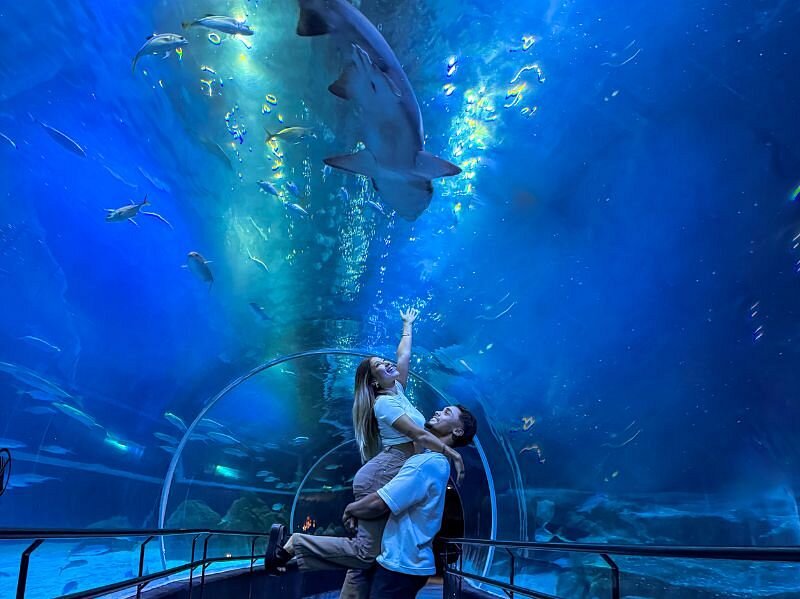 casal no tunel do aquario